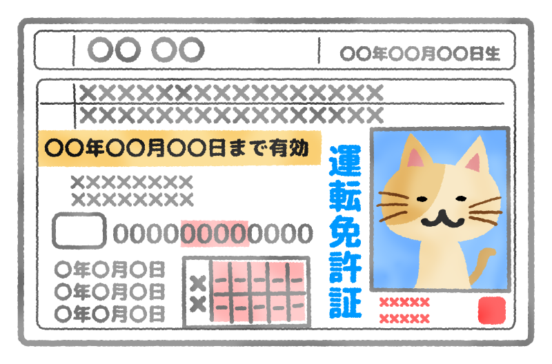 Driver's license (cat)