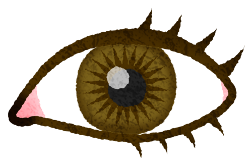 茶色の目のイラスト
