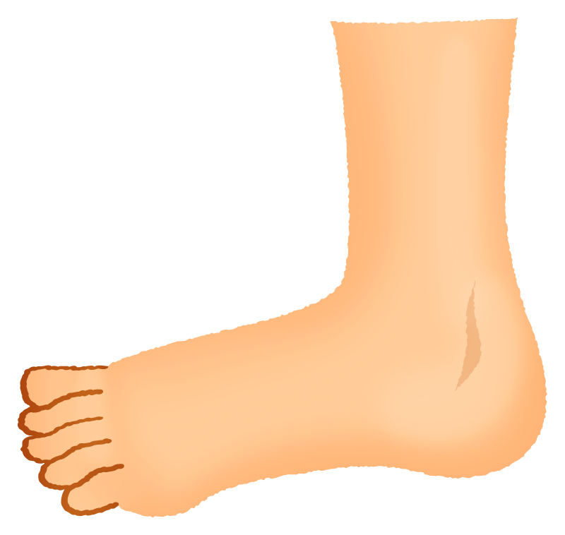 Foot Free Clipart Illustrations Japaclip