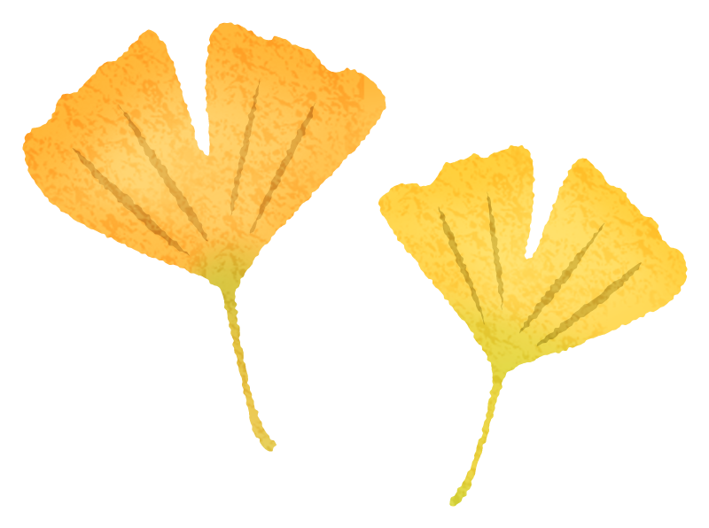 イチョウの葉のかわいいフリーイラスト素材