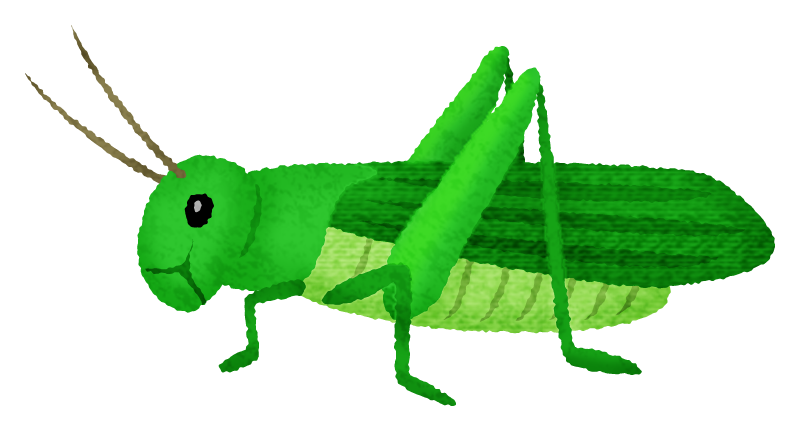 Grasshopper Free Clipart Illustrations Japaclip