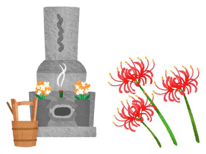 Visiting grave (grave and red spider lily)