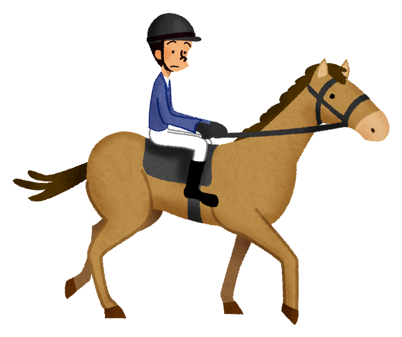 Horseback riding / Equestrian