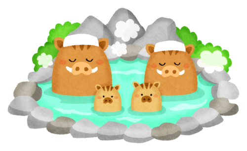 温泉に入るイノシシ夫婦と子供たち（年賀状無料イラスト）のイラスト