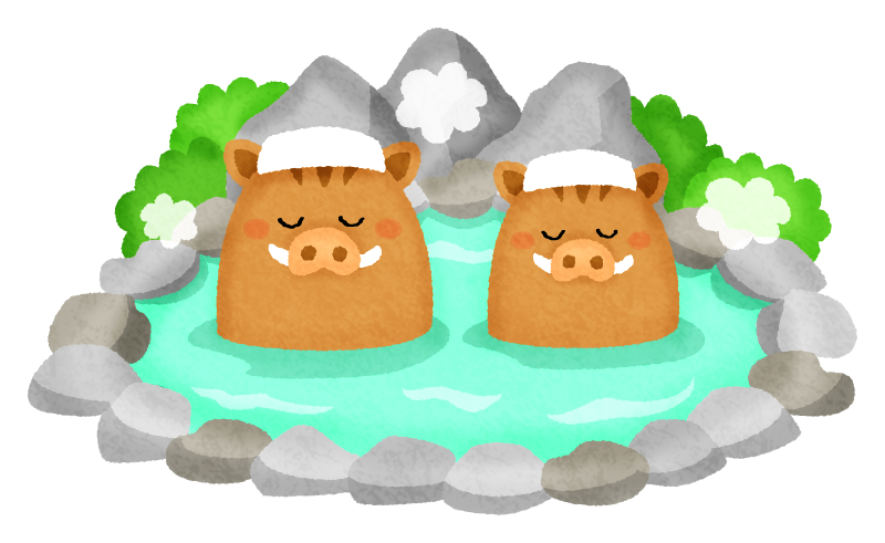 Boar couple in hot spring (New Year's illustration)