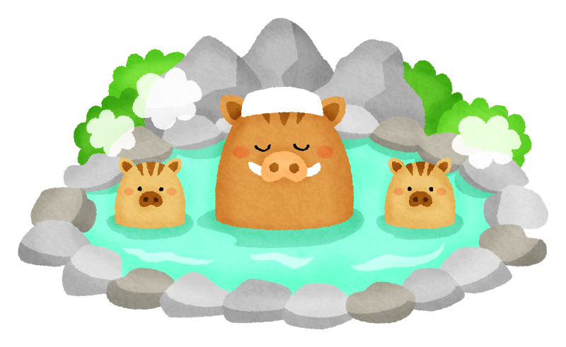 Boars in hot spring (New Year's illustration)