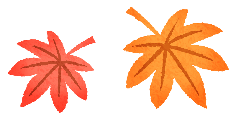 Japanese maple leaves 02