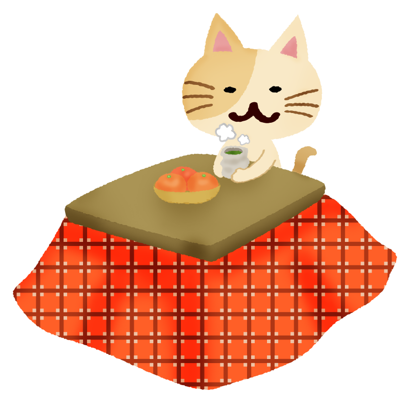 Kotatsu and cat