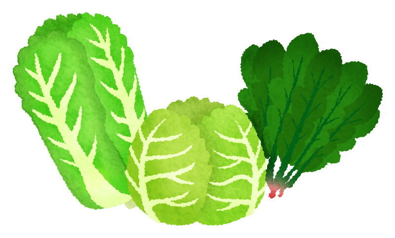 葉物野菜のかわいいフリーイラスト素材