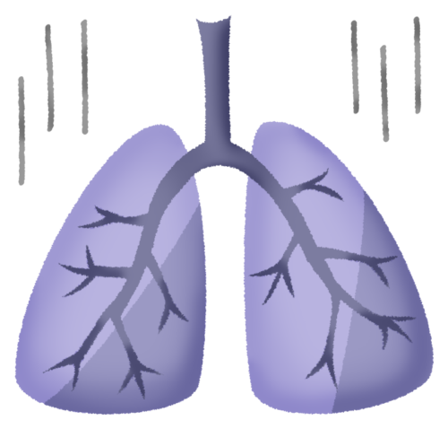 肺（病気の）のイラスト