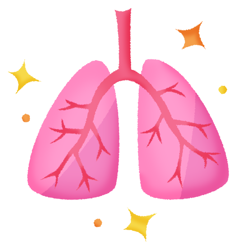 Lungs (healthy)