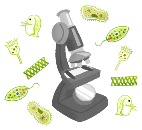 顕微鏡と微生物のイラスト