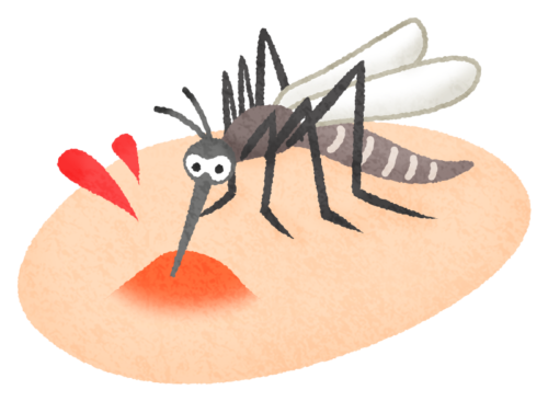 蚊のイラスト