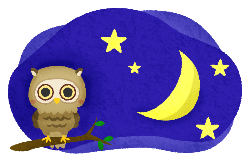 Owl in the night sky