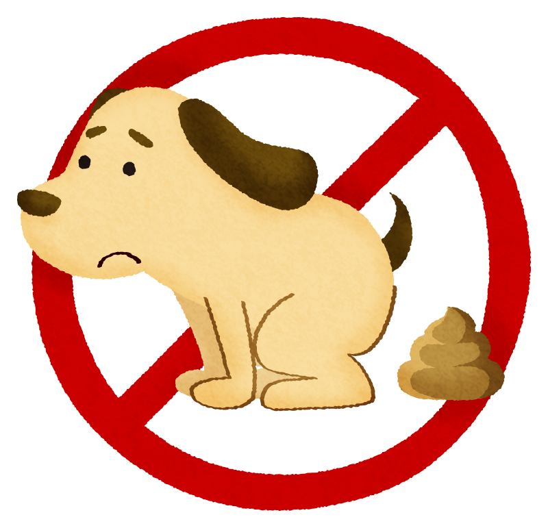 Prohibido Dejar Excrementos de Perro 02