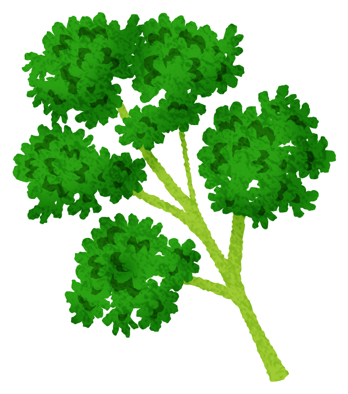 Parsley Free Clipart Illustrations Japaclip