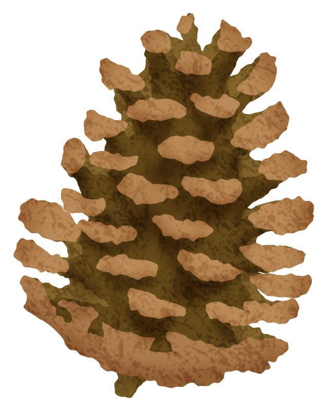 Pinecone Free Clipart Illustrations Japaclip