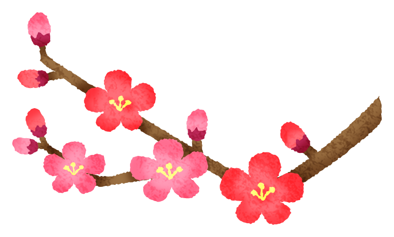 Plum Blossoms Free Clipart Illustrations Japaclip