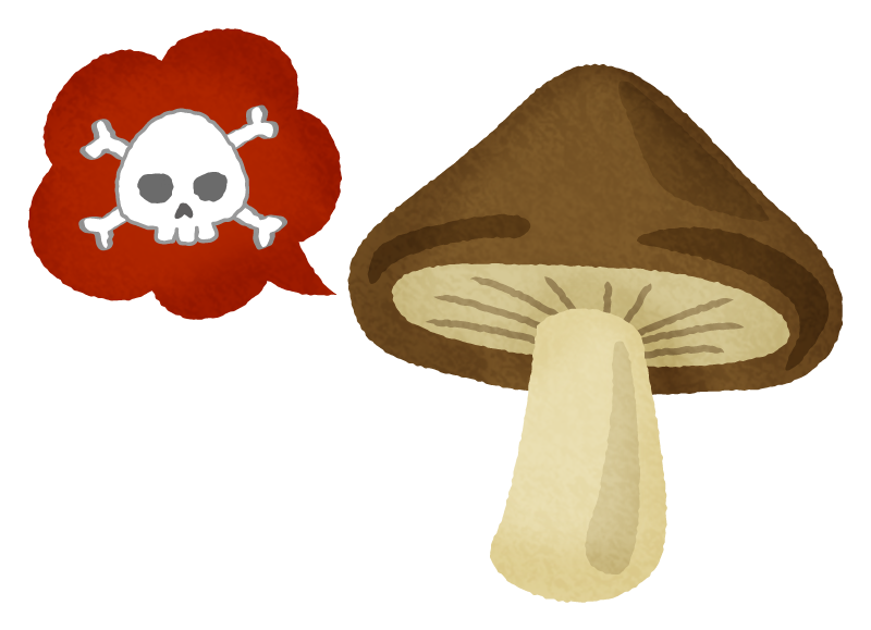 Poisonous mushroom / Toadstool 02