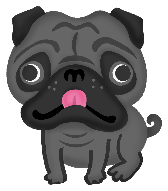Black Pug