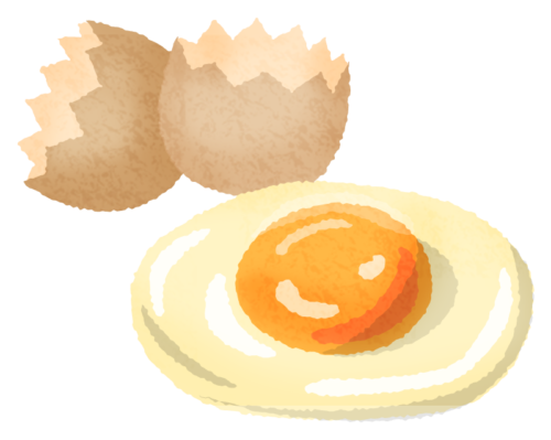 生卵のイラスト