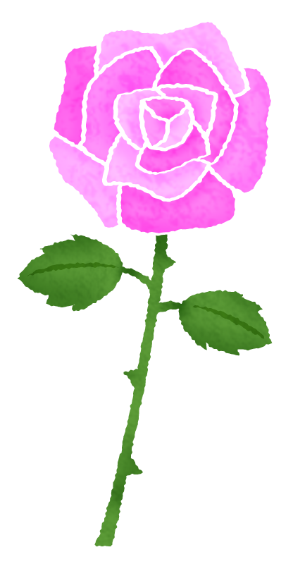 ピンクの薔薇（バラ）のかわいいフリーイラスト素材