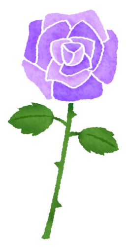 紫の薔薇（バラ）のイラスト