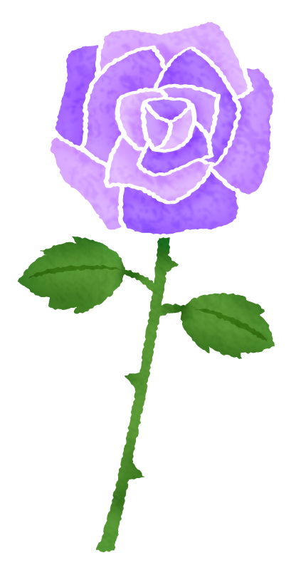 紫の薔薇（バラ）のかわいいフリーイラスト素材