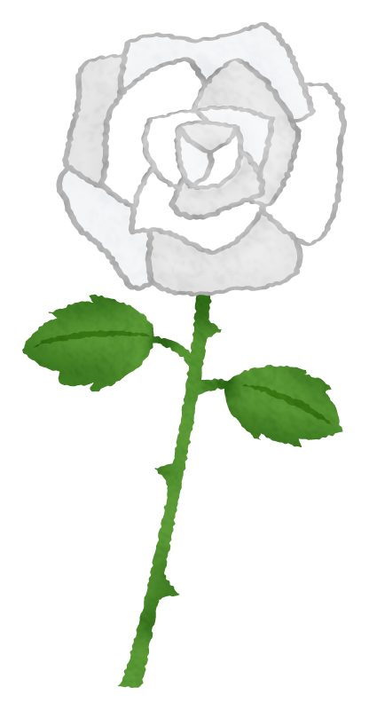 白薔薇（白バラ）のかわいいフリーイラスト素材