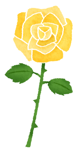 黄色い薔薇（バラ）のイラスト