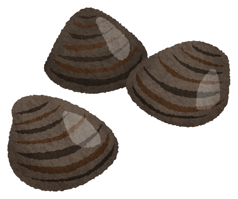 Shijimi clams