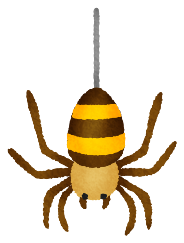蜘蛛のイラスト