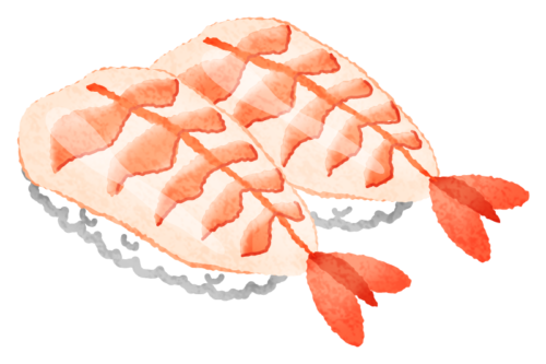 海老のお寿司のイラスト