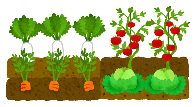 Japaclip Com Files Vegetable Field Png