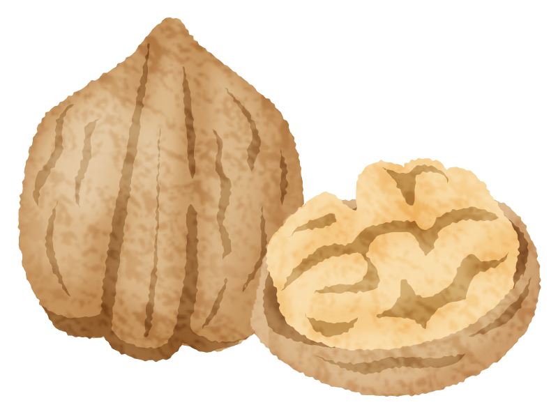 Walnut Free Clipart Illustrations Japaclip