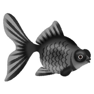 Black moor goldfish
