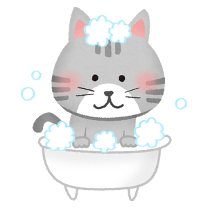 Gato bañándose