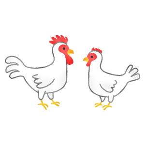 Cock and hen