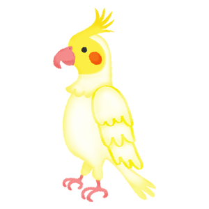 Cockatiel (yellow)