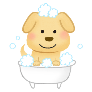 Perro bañándose