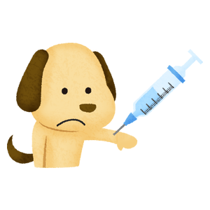 犬の予防接種