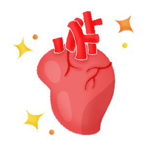 Heart (healthy)	