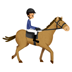 Horseback riding / Equestrian