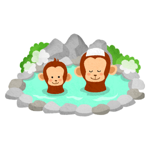Monkeys in hot spring