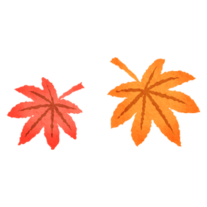 Japanese maple leaves 02