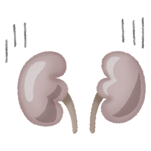 kidneys (sick)