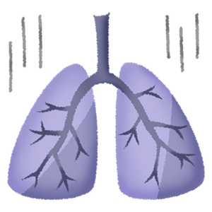 Lungs (sick)