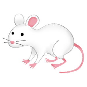 Ratón blanco