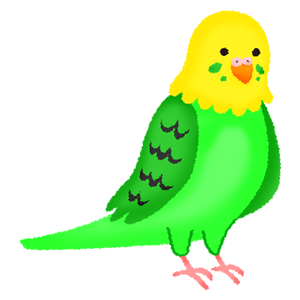 Parakeet (green)