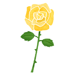 黄色い薔薇（バラ）